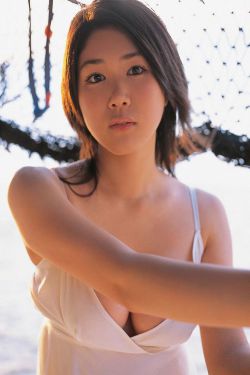 劝和小组电视剧全集免费观看